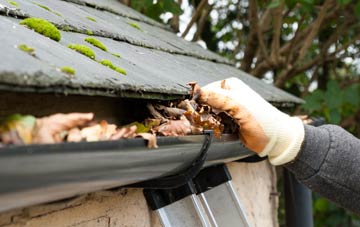 gutter cleaning Astley